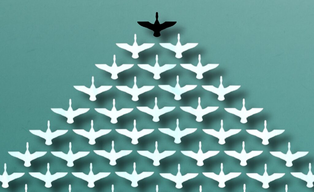 a pack of cartoon geese in a flying-V formation, all in white except for the leader of the pack who is coloured black, signifying the leader/leading duck of the group