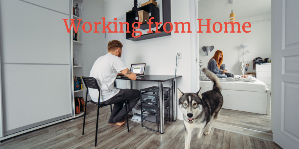 man working from home at a small desk, a siberian huskie walks by, his significant other tends to their child