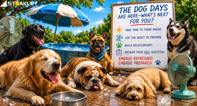 A playful “dog days of summer” scene featuring several overheated dogs cooling off beside fans, ice water and a small pool on a sunny patio. A large sign reads, “The Dog Days Are Here—What’s Next for You?” and encourages viewers to take time to think ahead, use the quiet to prepare, build relationships and answer their fall question, ending with “Emerge refreshed. Emerge prepared.”